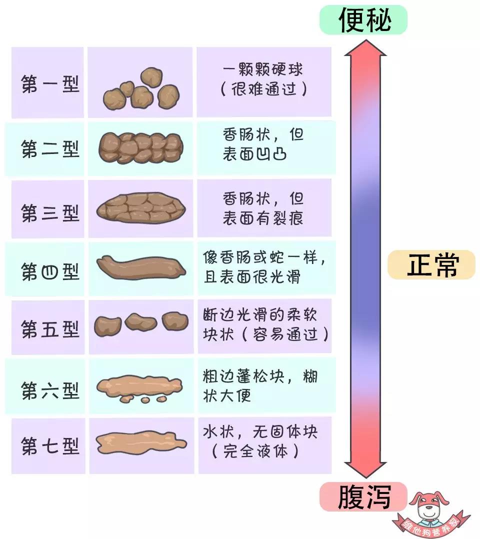 所以会呈现黄色或绿色,但如果大便呈灰白色,看上去像白陶土,这说明